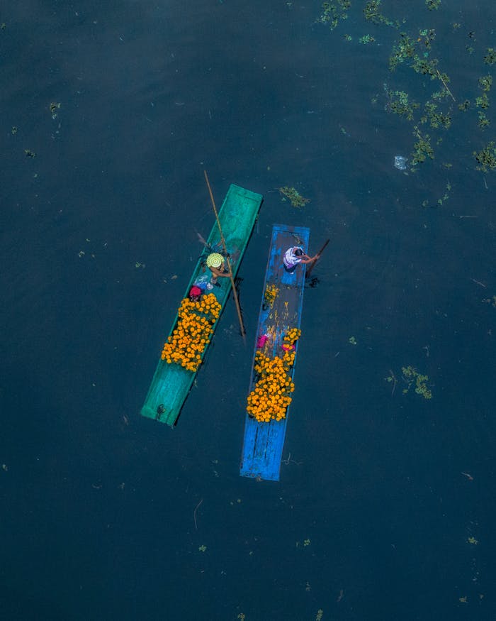 A vibrant aerial shot of traditional boats filled with marigolds on the Xochimilco canals in Mexico City.